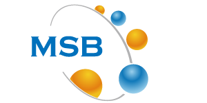 msb-footer-logo