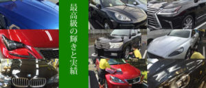 MUSUIproのツヤ